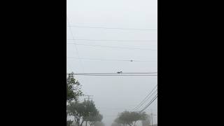 All fogged up on the Squirrel Wire Super Highway animals weather morning motivation travel sky [upl. by Kamilah]