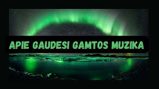 Apie Gaudesi gamtos Daina [upl. by Donelle]