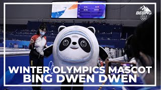 Winter Olympics mascot steals spotlight in Beijing [upl. by Zoeller]