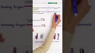 Analog Organlar VS Homolog Organlar shorts [upl. by Resaec]