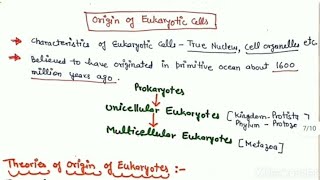 Evolution of Eukaryotic cells Origin of life on Earth [upl. by Anelak]