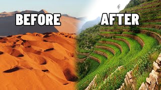 REVEALED How China Transformed Desert Into Green Landscapes The Fastest Way [upl. by Adialeda992]