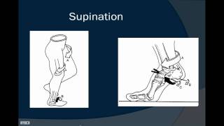 A brief discussion on Pronation and Supination [upl. by Anovahs]