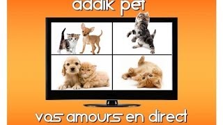 ADDIK PET [upl. by Viens]