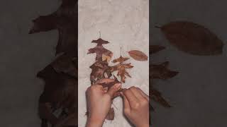 quot가을의 부드러운 바스락 소리 편안한 나뭇잎 ASMR 🍂quot [upl. by Emelyne558]