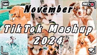 Tiktok Mashup November 🐶2024🐶 Not Clean [upl. by Mattah]