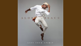 Aloe Blacc  The Man Radio Edit [upl. by Herahab]