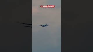 飛行機ギヤダウン 飛行機 jal [upl. by Vernor]