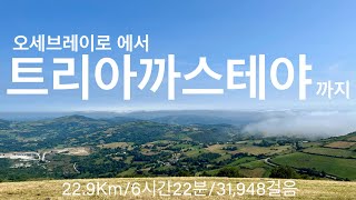 산티아고 순례길🇫🇷프랑스길 D33 O Cebreiro👉Triacastela [upl. by Socrates]