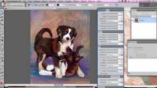 Pet Portrait Painting using Painter X3 with Karen Sperling [upl. by Vesta]