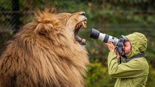 Secrets to Capturing Stunning Animal Photos AT THE ZOO [upl. by Rintoul403]