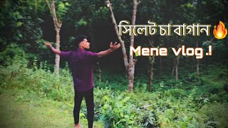 Sylhet tea garden  New vlog from Sylhet  Ornil X10 🫶 [upl. by Nitsug]