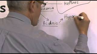 DKA Diabetic Ketoacidosis [upl. by Snashall]