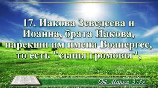 ВидеоБиблия Евангелие от Марка без музыки глава 3 читает Бондаренко [upl. by Hera]