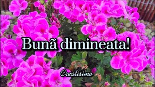 Buna dimineata 🌈☀️O zi minunata iti doresc  Mesaje frumoase si felicitari muzicale 🎼🎵🎶 [upl. by Ayoral]