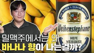 독일 가면 무조건 마셔봐야하는 맥주  바이엔슈테판 헤페바이스 Weihenstephaner Hefeweissbier [upl. by Kinson]