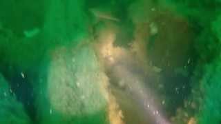 Mv Actuosity 07 07 2013 Great Yarmouth BSAC wreck dive Sea Palling [upl. by Yleme]