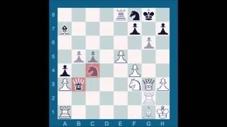 Chessmaster GME Schwartzman G vs Waitzkin J [upl. by Adnac]