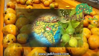 Jadli Foods Short amp Complete Presentation [upl. by Lahcar]