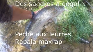 PECHE AUX LEURRES SANDRES A GOGO [upl. by Ahsenra]