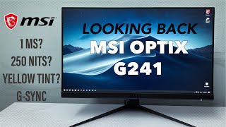 MSI Optix G241 monitor Second thoughts [upl. by Stillman]