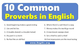 10 Common Proverbs in English YOU MUST KNOW [upl. by Ahsekel683]