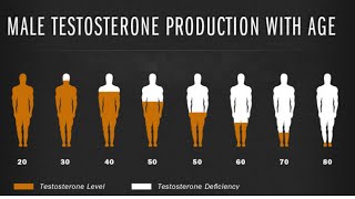 What is testosterone Pharmacology and psyche The main male hormone [upl. by Anaidiriv]