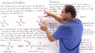 Isoelectric Point and Electrophoresis [upl. by Esirtal]