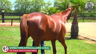 145Y SWEETDREAMSGALLOREUSA 9 Smarty Jones  Dreams Gallore [upl. by Susanne]