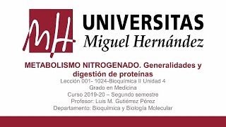 Lec026 Metabolismo nitrogenado Digestión de proteínas umh1024 20192020 [upl. by Annair]