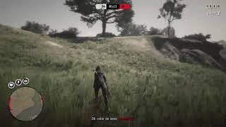 PVP de Red Dead com Jane Calamidade [upl. by Ylatfen]