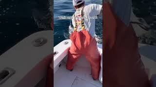 Game Changer Sportfishing Reel 01 [upl. by Doretta672]