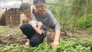 Growing crops and weaving nests for hens to lay eggs  Life of a 15yearold single mother [upl. by Nilecoj]