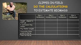 Biomass Calculations [upl. by Cromwell]