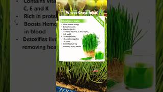 Wheat Grass Juice juice healthy healthyfood life healthylifestyle health food foodie shorts [upl. by Riedel]