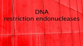 DNA restriction enzymes [upl. by Kara357]