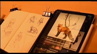 Lets Practice Drawing Fundamentals Using Reference 🐈 [upl. by Adikam364]