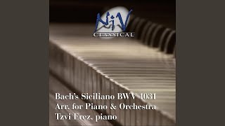 Siciliano from Flute Sonata No 2 in E Flat Major BWV 1031 [upl. by Gautious]