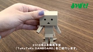 ToKoToKo DANBOARD 紹介動画 [upl. by Tcideneb371]