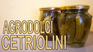 🥒🥒Cetriolini sottoaceto agrodolci ricetta facili  Arte Green [upl. by Sheelagh]