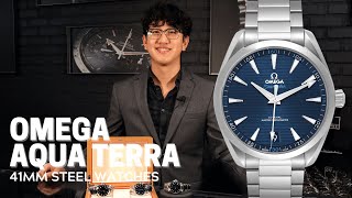 Omega Seamaster Aqua Terra Shades 38 mm [upl. by Pember]