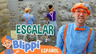 Escalamos con Blippi y Meekah 😊  Blippi Español  Videos educativos para niños  Aprende y Juega [upl. by Jay]