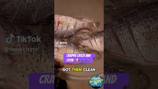 Crappie Cooked to Perfection 🎣🔥🍲 catchandcook fishing fishingvideo outdoors shorts fyp [upl. by Itch]