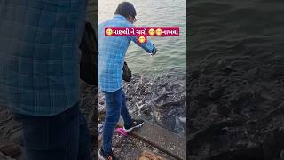 હાલૉ માછલી ને ચારૉ ખવડાવા gujraticomedy funnyvideos funny family video 😄😄🙏🙏 [upl. by Atekihs]