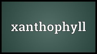 Xanthophyll Meaning [upl. by Godrich]