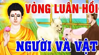 Luật Nhân Quả Không Bỏ Sót Một Ai SỰ THẬT Về Vòng LUÂN HỒI Giữa Người Và Vật  Truyện Mới 2024 [upl. by Seessel]