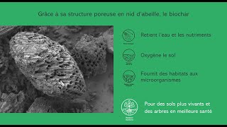 Utiliser le biochar premium TERRA FERTILIS en sylviculture [upl. by Marylou]