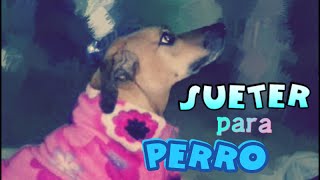 COMO HACER UN SUETER CASERO PARA PERRO  FACIL  BONITO Y BARATO  ANIMALTIME🐾 [upl. by Moria]