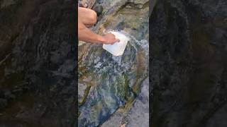 natural spring from rocks watersprings viralshort satisfying provincelife [upl. by Bozovich151]