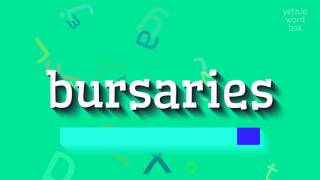 BURSARIES  HOW TO PRONOUNCE BURSARIES [upl. by Daigle]